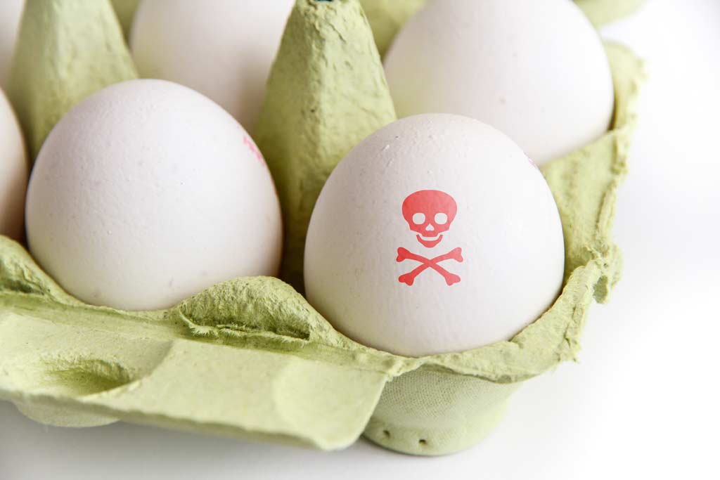 eggs_salmonella_food_illness_food_safety